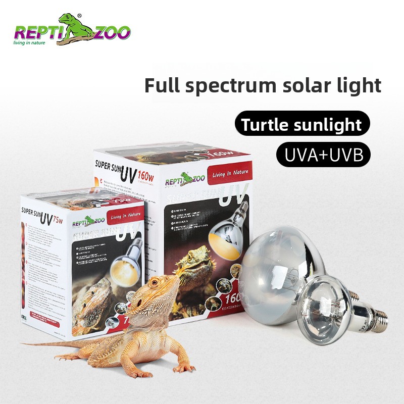 Reptizoo Reptilien-Sonnenlampe – Calcium Powder Reptile Bewertung und Preis
