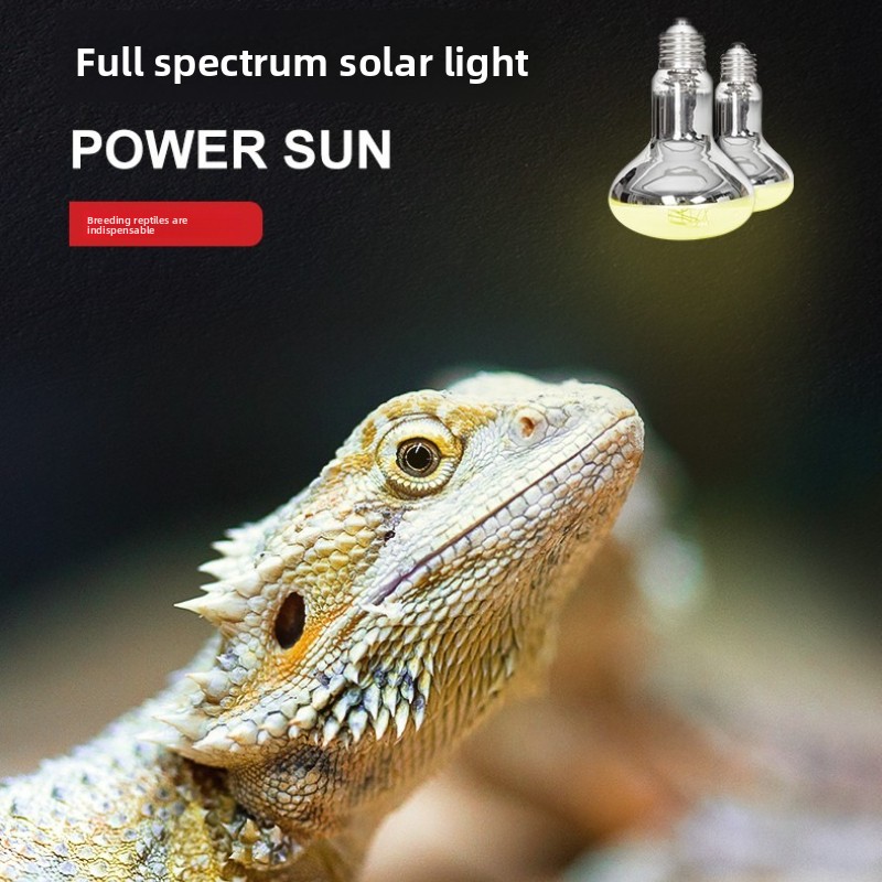 Reptizoo Reptilien-Sonnenlampe – Calcium Powder Reptile Bewertung und Preis