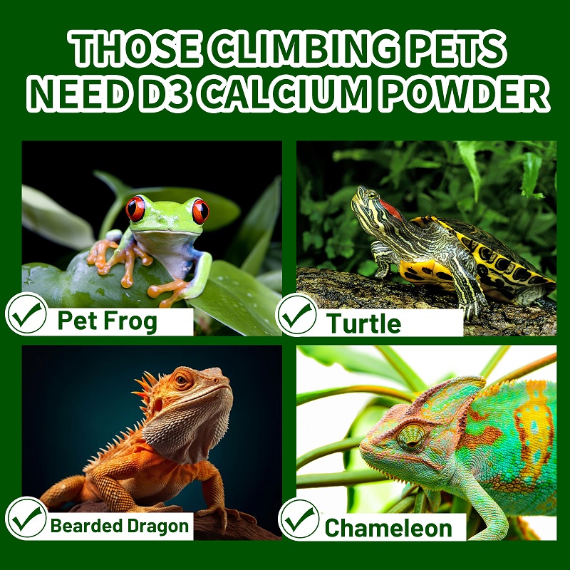 Kriechtier-Vitamin-D3-Kalziump – Calcium Powder Reptile Bewertung und Preis