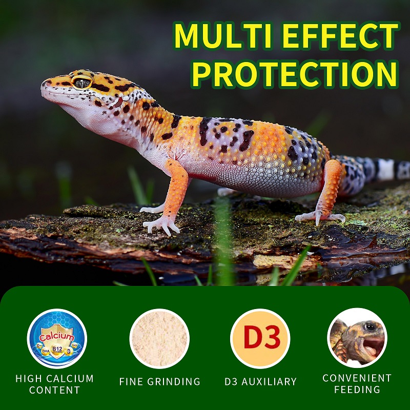 Kriechtier-Vitamin-D3-Kalziump – Calcium Powder Reptile Bewertung und Preis